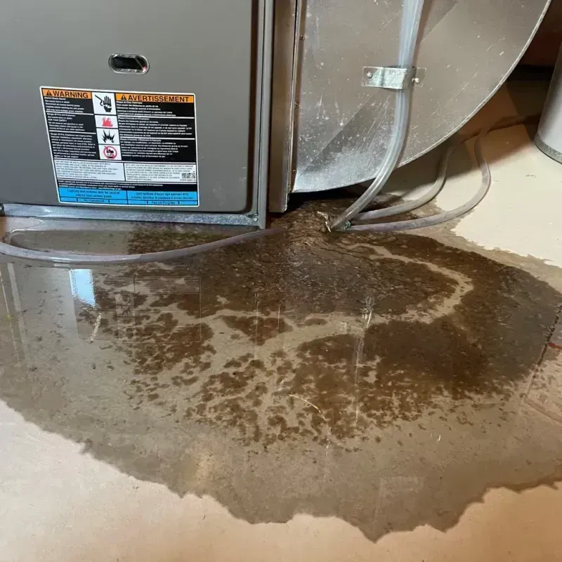 Appliance Leak Cleanup in Bremerton, WA